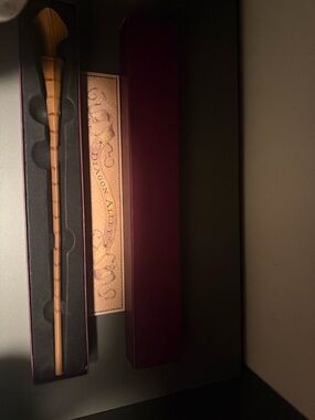 Death Eater Wanded from Universal Studios Wizard World of Harry Potter